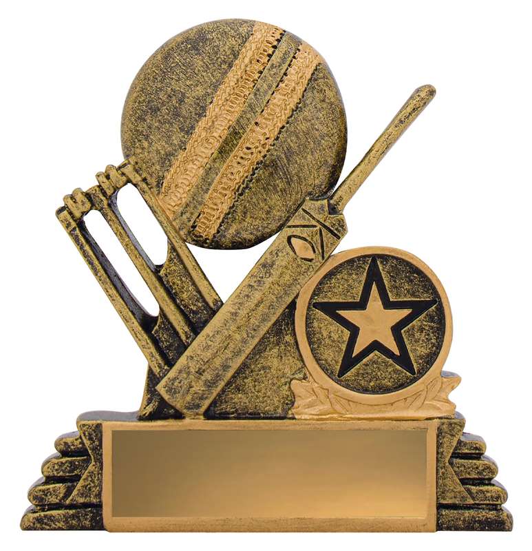 Cricket Budget Icon