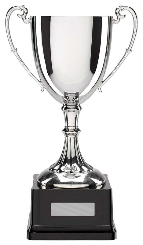 Avoid Common Mistakes with Prestige Metal Cups