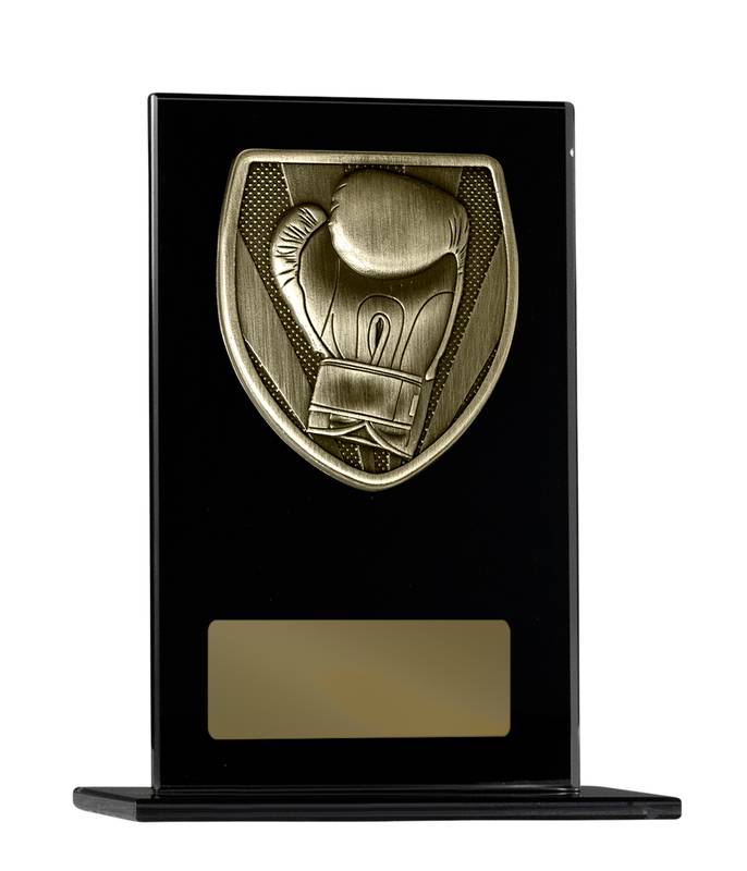 Boxing Glass Award 200mm
