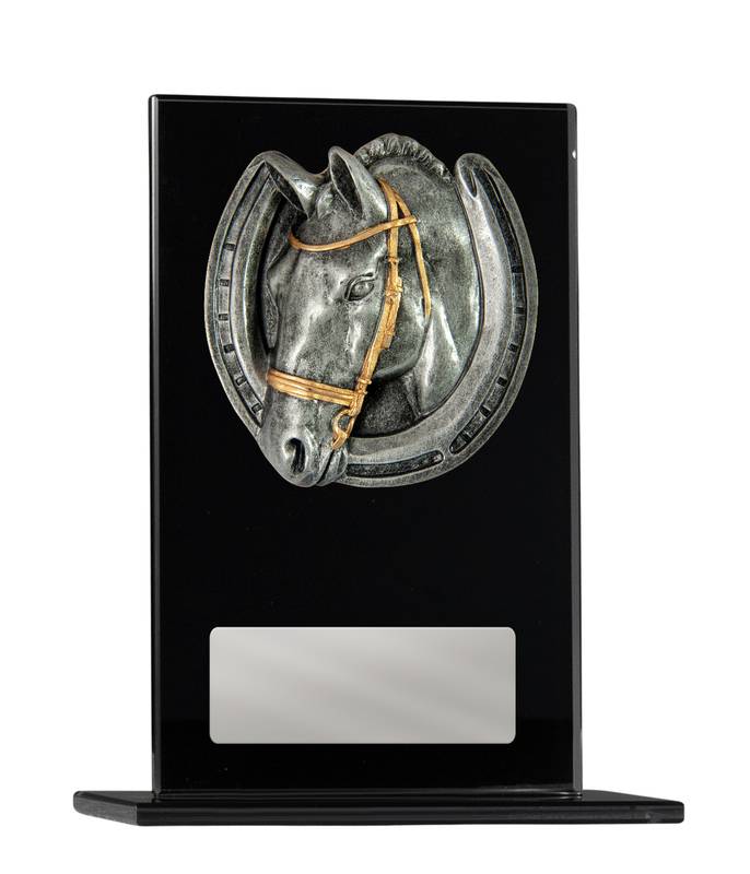 Black Glass Horses Glass Award 200mm