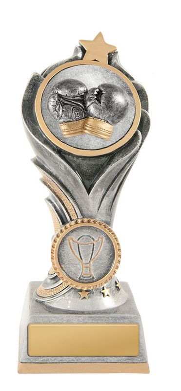Celebrate Your Kickboxing Achievements with Our Awards Trophies