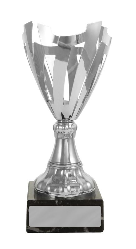 Metal Cups Silver Cup 205mm