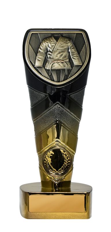 Martial Arts Trophy 225mm