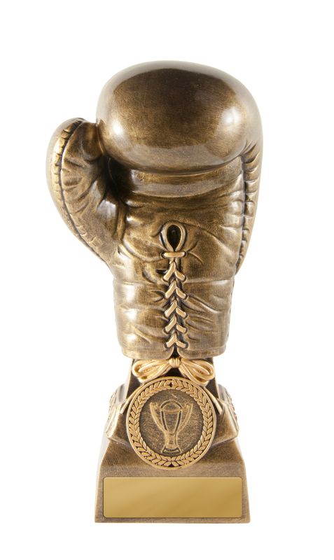 Discover Our Stunning Resin Awards Trophies – Perfect for Boxing Events!