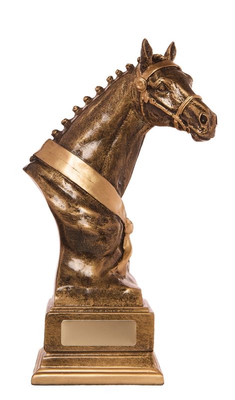 Discover Our Stunning Resin Trophies for Equestrian Excellence