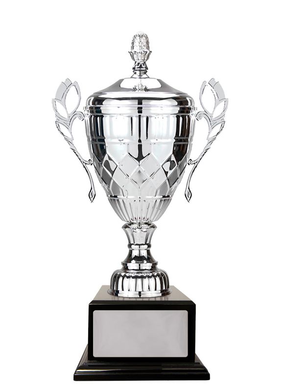 Metal Cups Silver Cup 480mm
