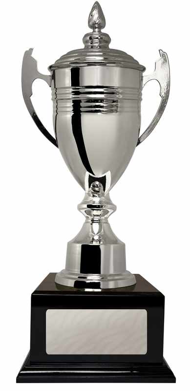 Metal Cups Silver Cup 550mm