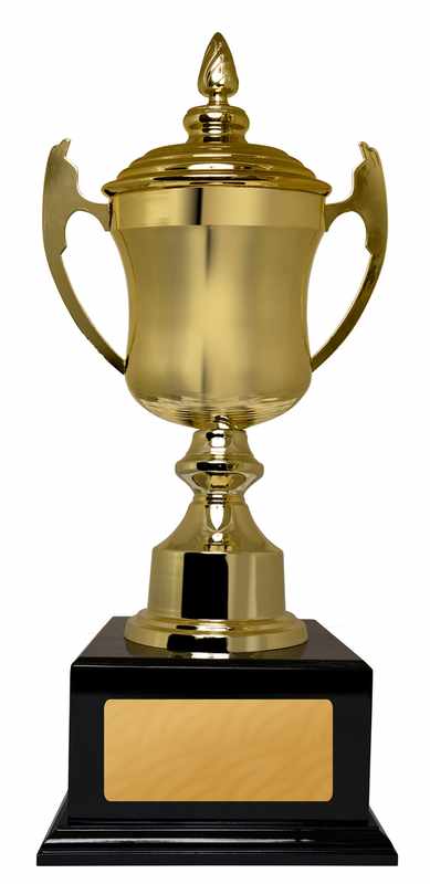 Metal Cups Gold Cup 550mm
