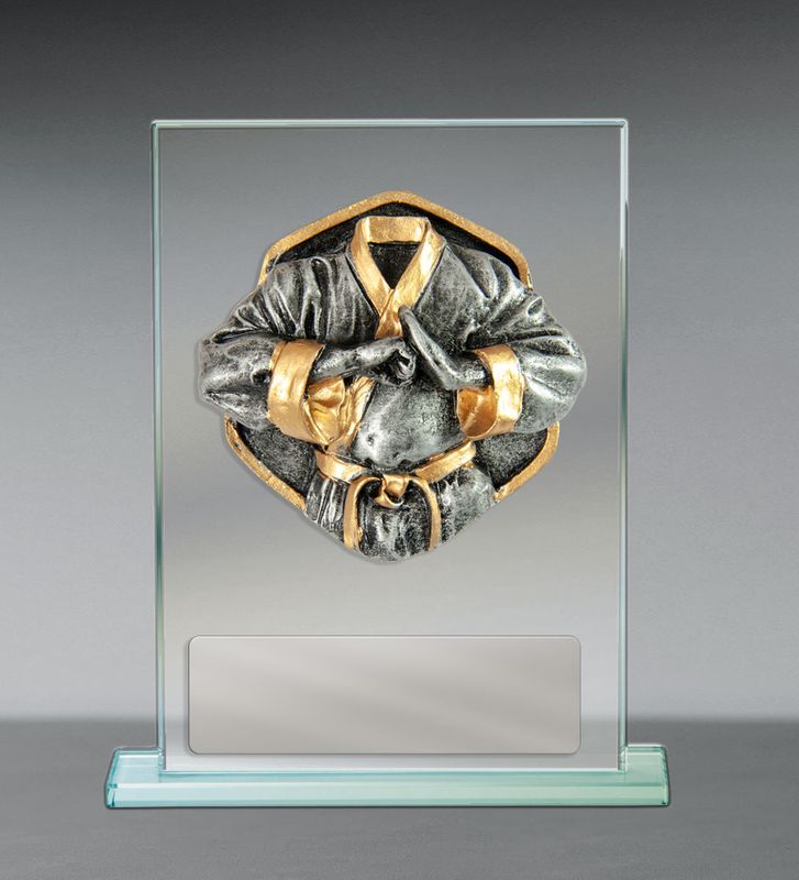 Martial Arts Theme on Glass Award 170mm