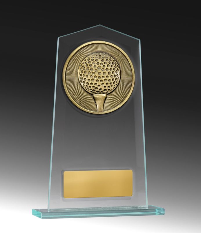 Martial Arts Theme on Glass Award 210mm