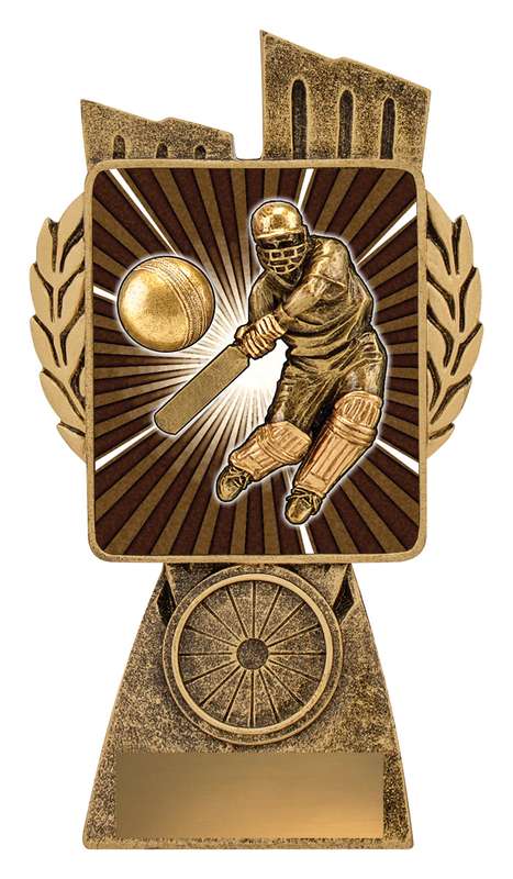 Lynx – Cricket Batsman