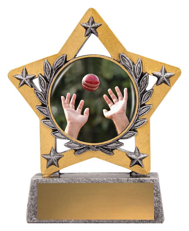 Mini Star Colour – Fielding