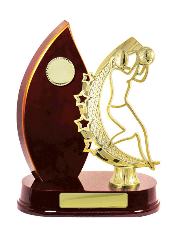 Celebrate Excellence with Awards Trophies Netball