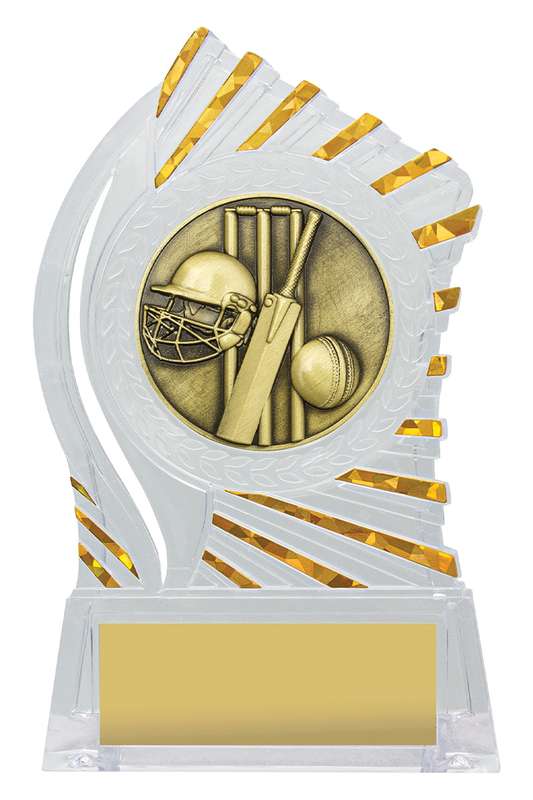 Why Choose Our Acrylic Awards for Your Cricket Celebrations?