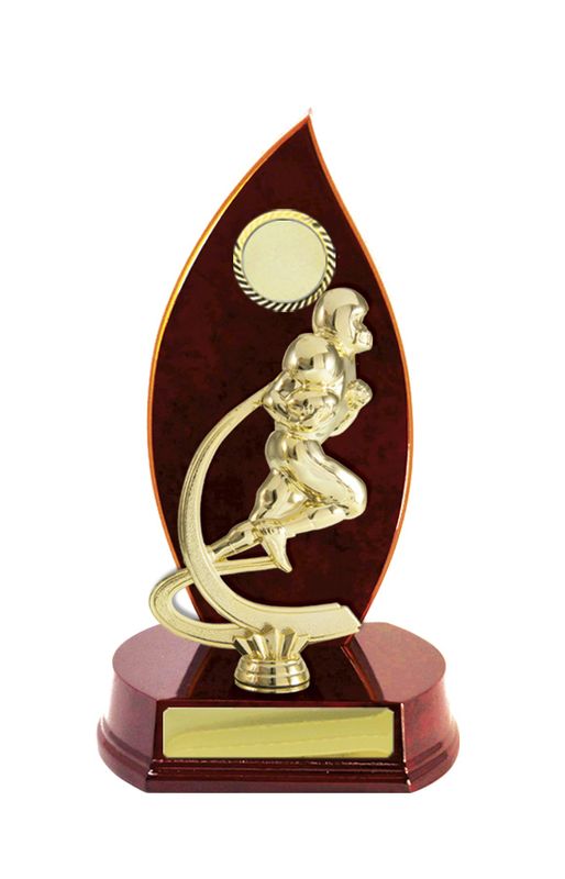 Why Choose Our Awards Trophies Grid Iron?