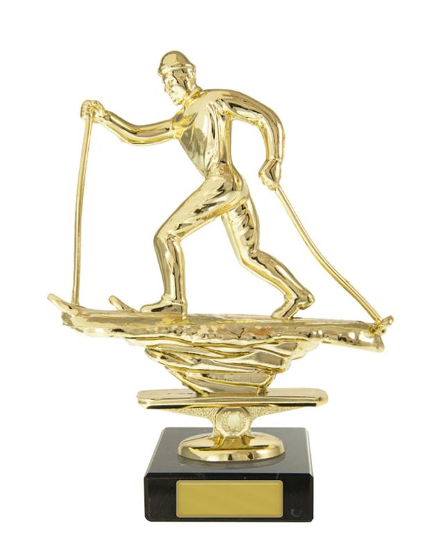 Celebrate the Thrill of Snow Sports with Our Awards Trophies