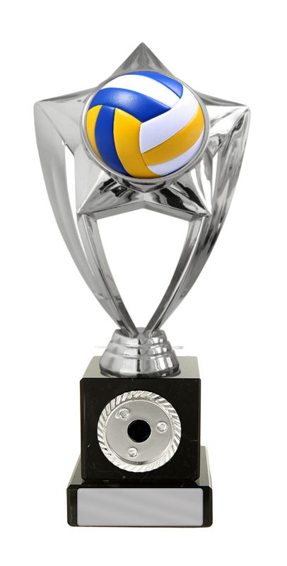 Celebrate Your Volleyball Achievements with Unique Awards Trophies Volleyball
