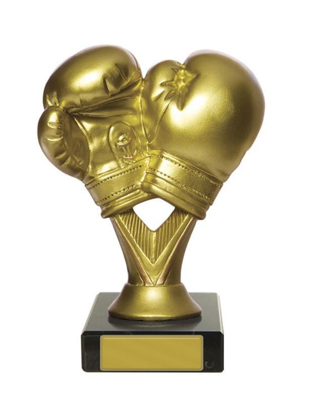 Celebrate Your Champions with Our Awards Trophies Boxing