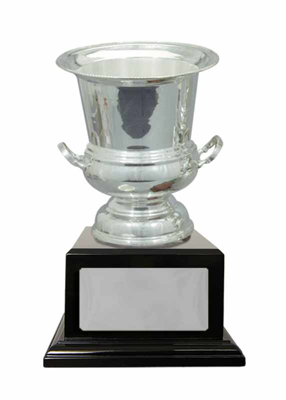 Silver Plated Cup Metal Cups 185mm