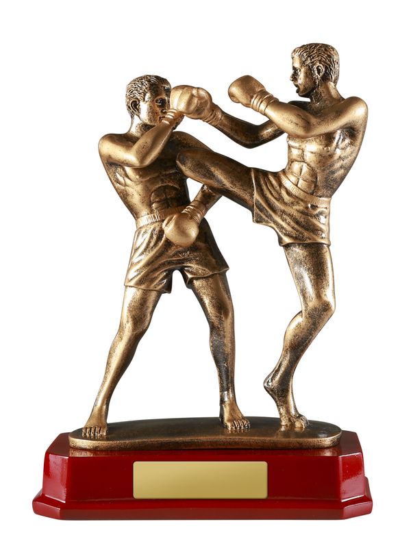 Celebrate Every Round with Kickboxing Awards Trophies