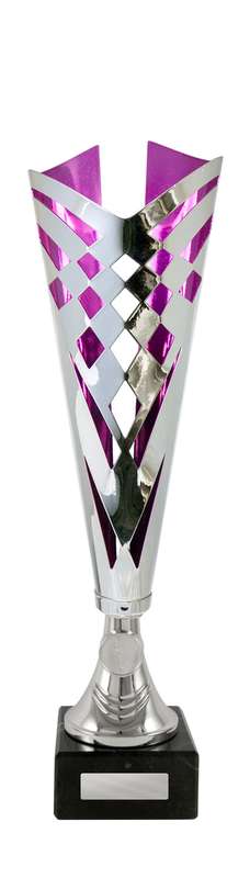 Shine Bright with Our Silver Cups