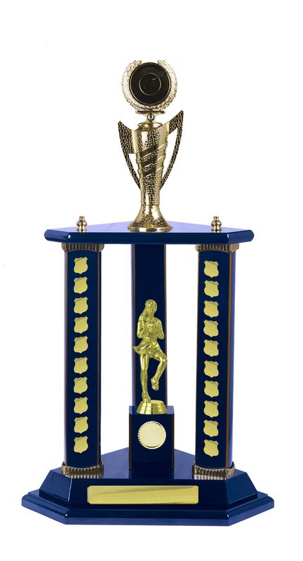 Celebrate Every Achievement with Perpetuals Netball