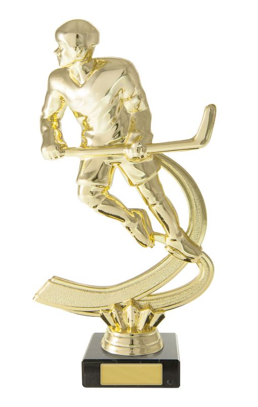 Celebrate Ice Hockey Milestones with Awards Trophies