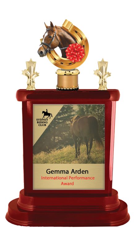 Celebrate Every Achievement with Perpetuals Horse Sports Equestrian Trophies