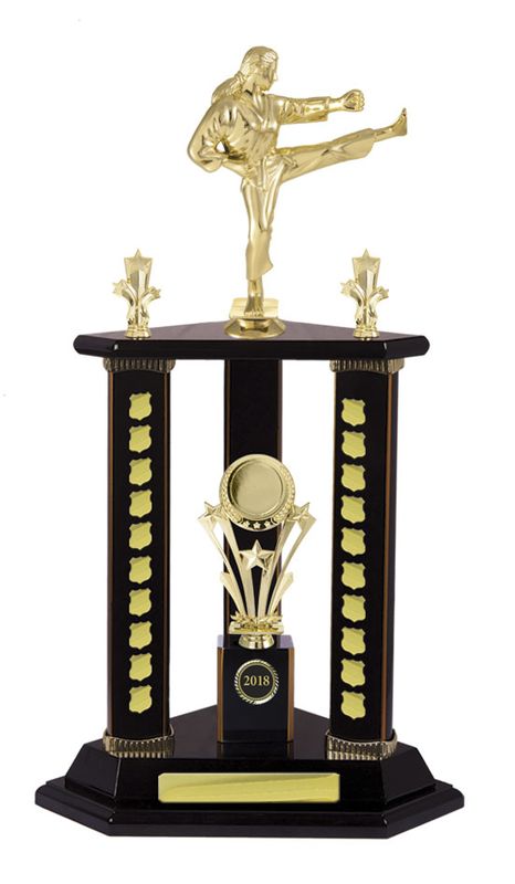 Top 10 Perpetuals Martial Arts Trophies You Need