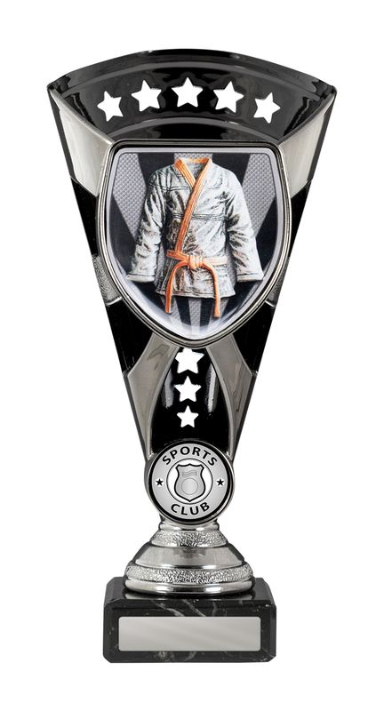 Celebrate Your Achievements with Cups Martial Arts