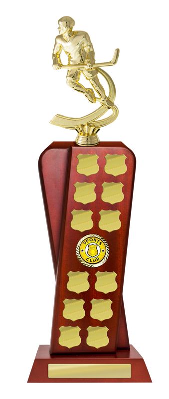 Celebrate Your Ice Hockey Achievements with Perpetuals Ice Hockey