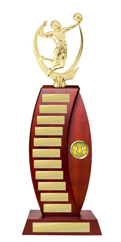 Celebrate Your Volleyball Victories with Perpetuals Volleyball Trophies