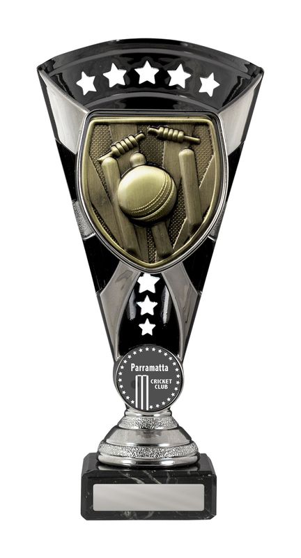 Did You Know? The Significance of Cups Cricket