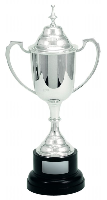 Celebrate Milestones with Corporate Metal Cups