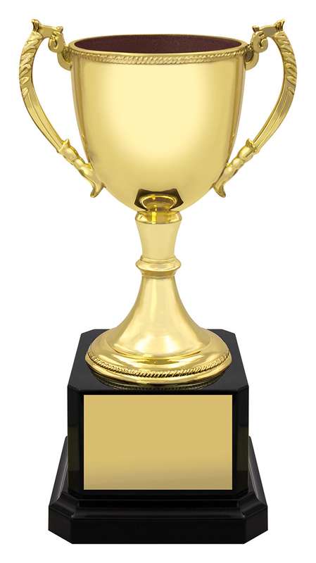 Celebrate Every Victory with Cups Prestige Cups Multisport Awards